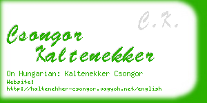 csongor kaltenekker business card